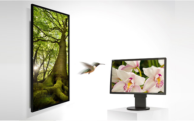 OtherNews2013-ECOSurvey