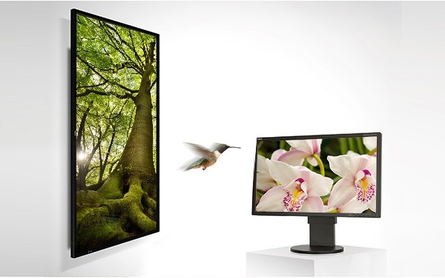 OtherNews2013-ECOSurvey