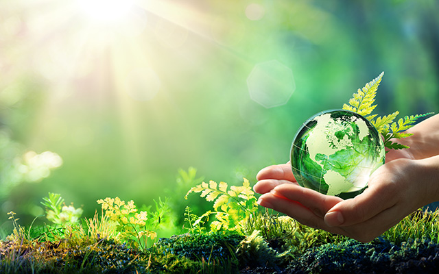 ZenToYourWorkspace-4