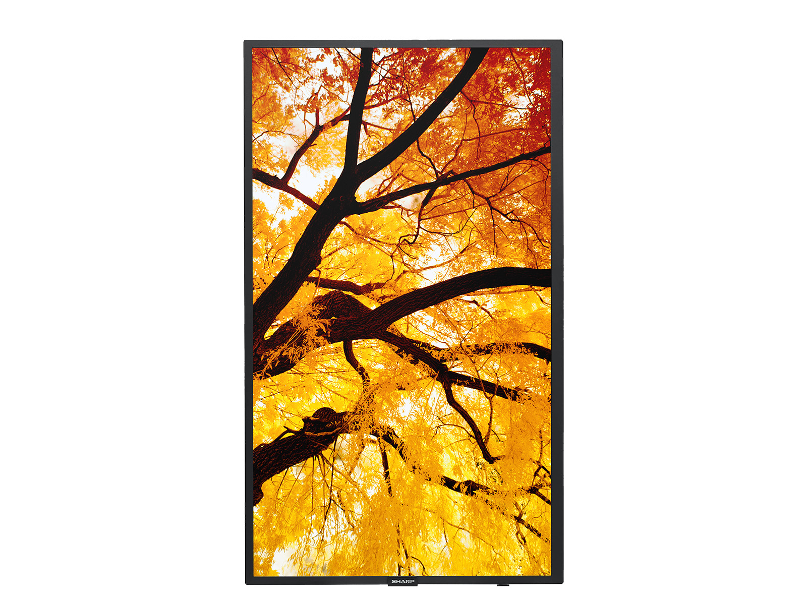 Sharp_M322_Front_Portrait_Content