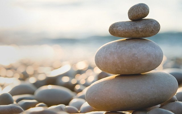 Journey to net-zero: Sharp presents ‘A Lasting Vision’ Journey to net-zero: Sharp presents ‘A Lasting Vision’