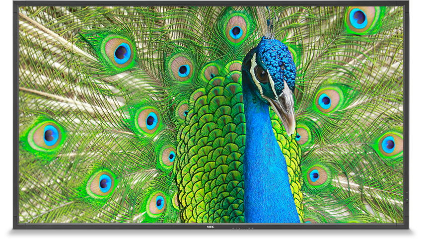 Image-LargeFormatDisplays