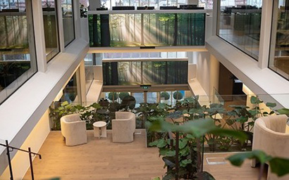 An office atrium space with natural decor