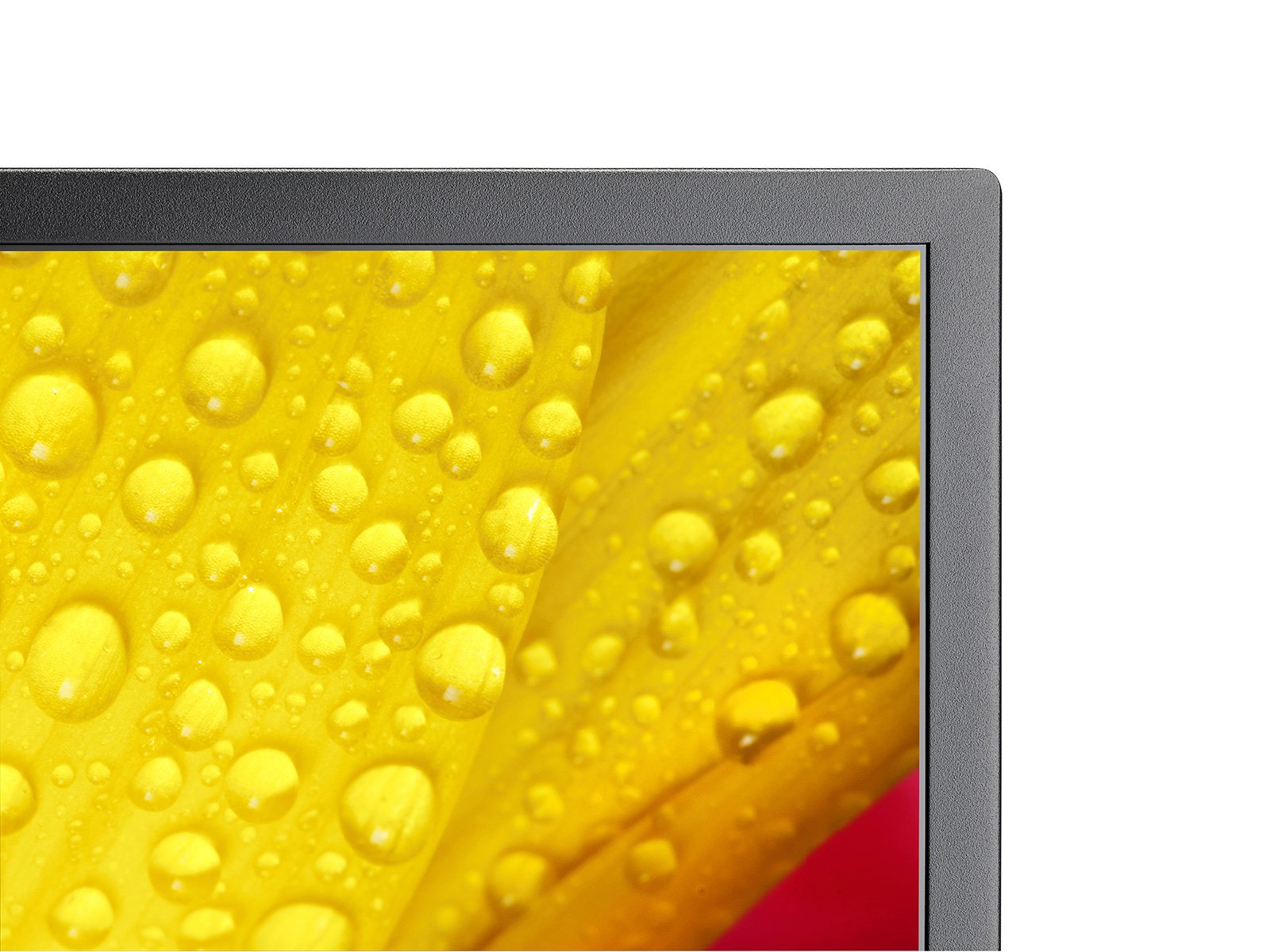 NEC_M1-2-Series_bezel_1600x1200