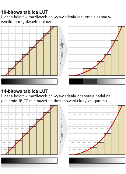 Why-Calibration-Image_x_pl