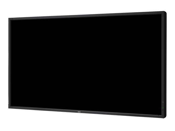 NEC MultiSync<sup>®</sup> P402