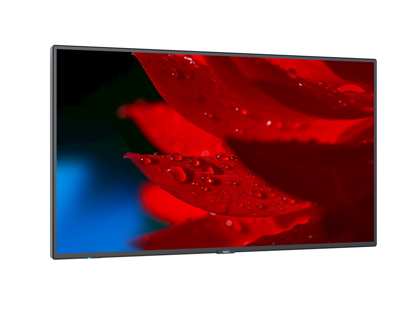 NEC_MA-Series_Angle_Right_content_1600x1200