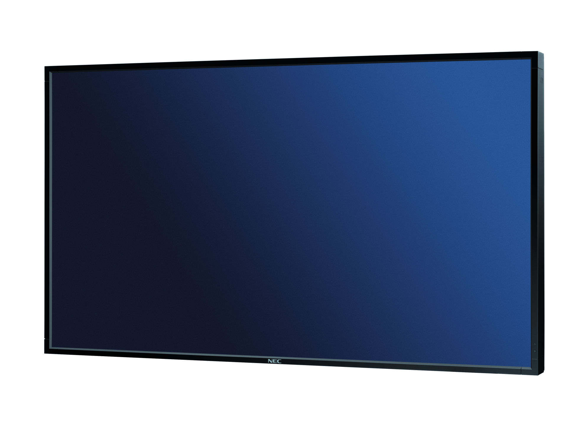NEC MultiSync<sup>®</sup> P401