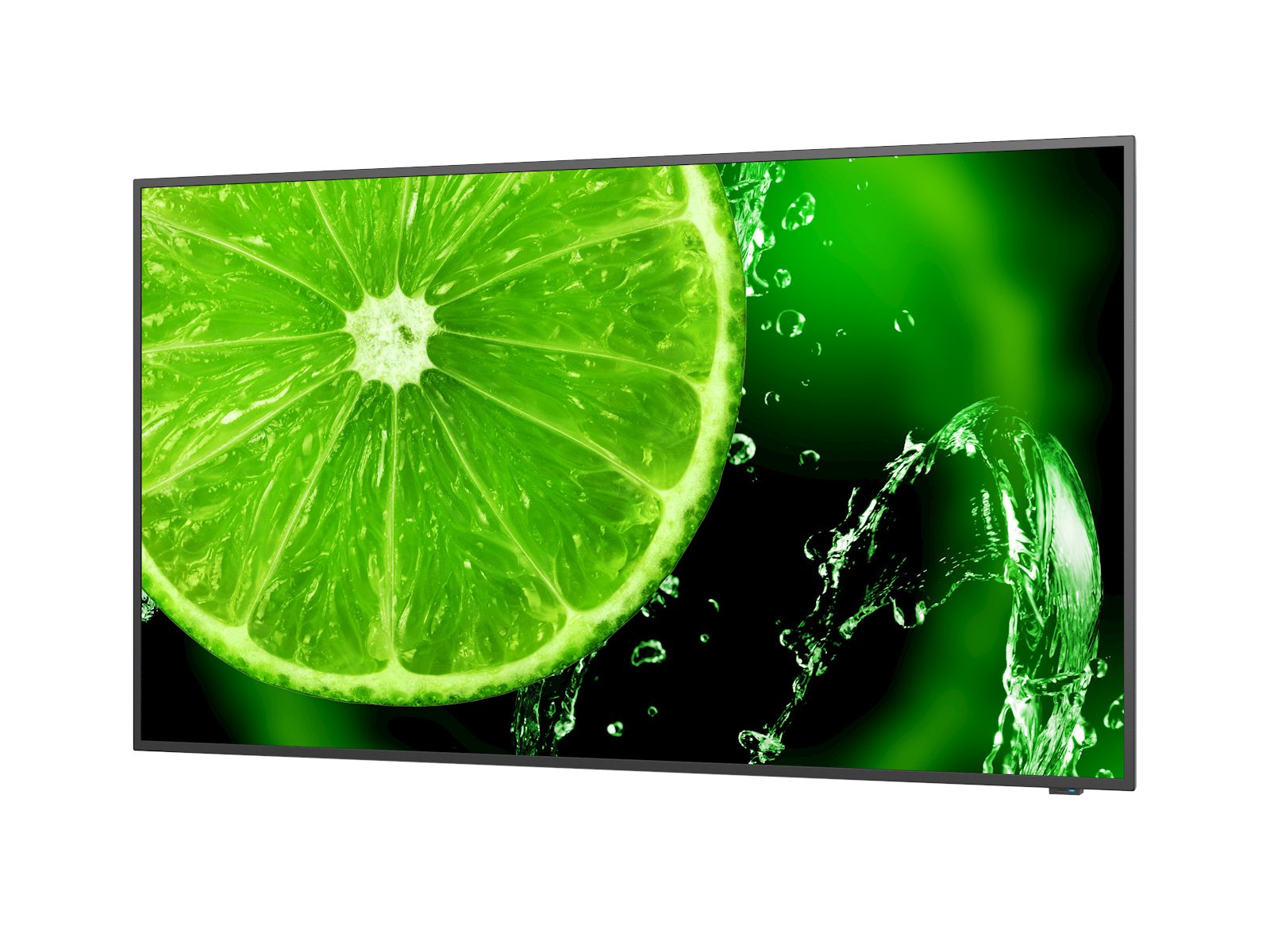 Datasheet for NEC MultiSync® E558 - Sharp Display