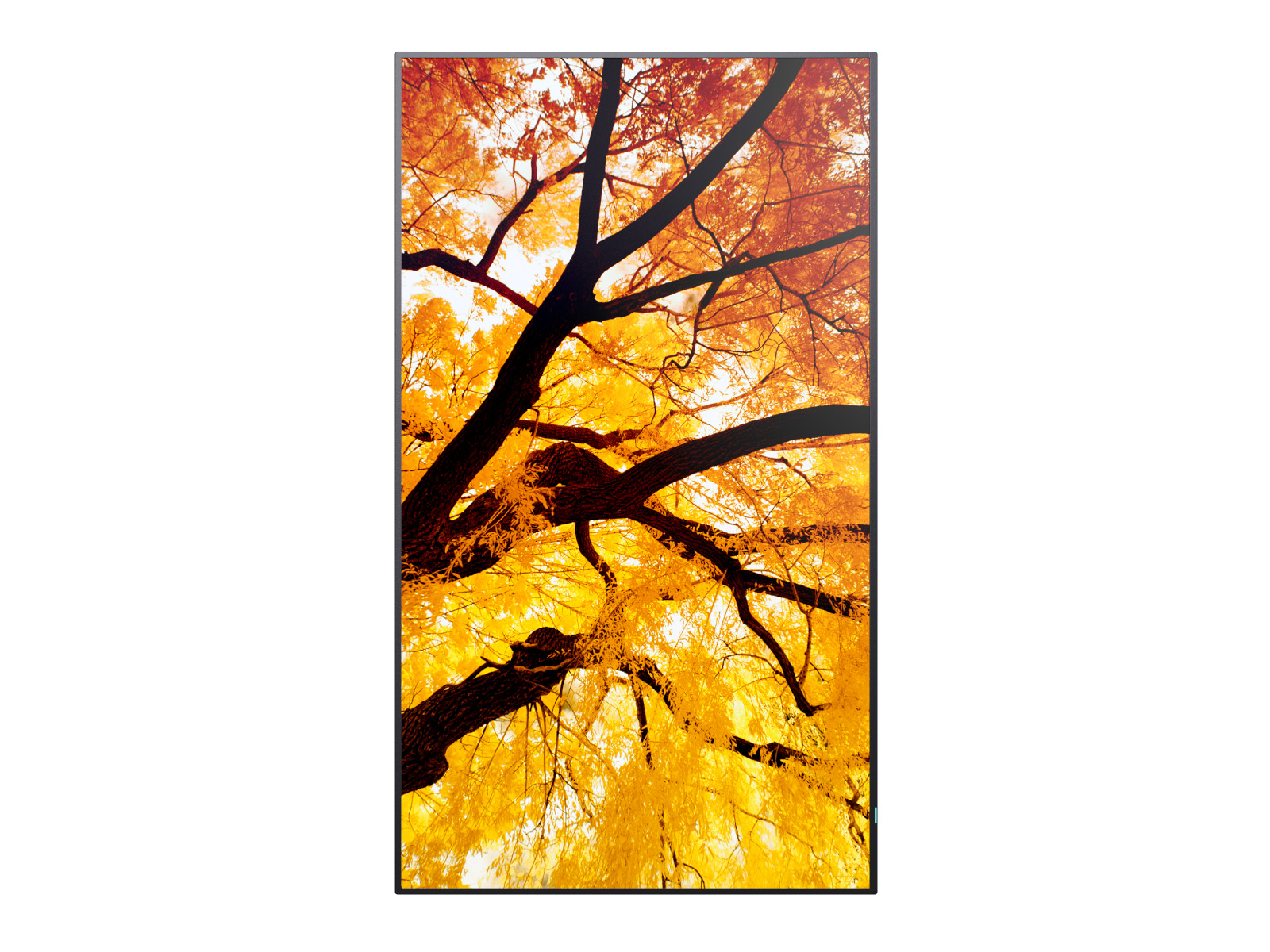 Sharp_M2_65_Front_Portrait_Content_B