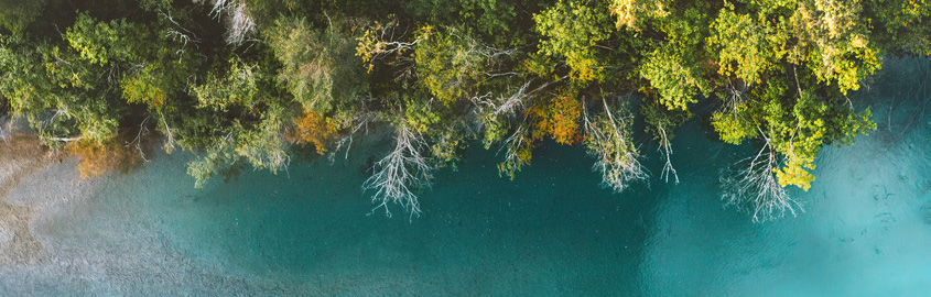 Why-You-Should_LongLifeSustainability