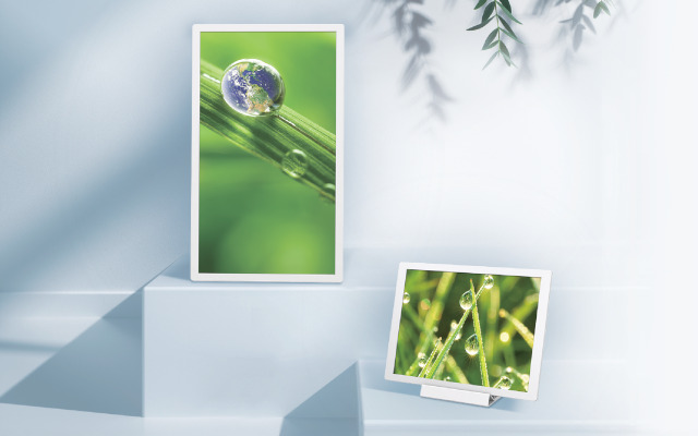 two free-standing displays show images of nature
