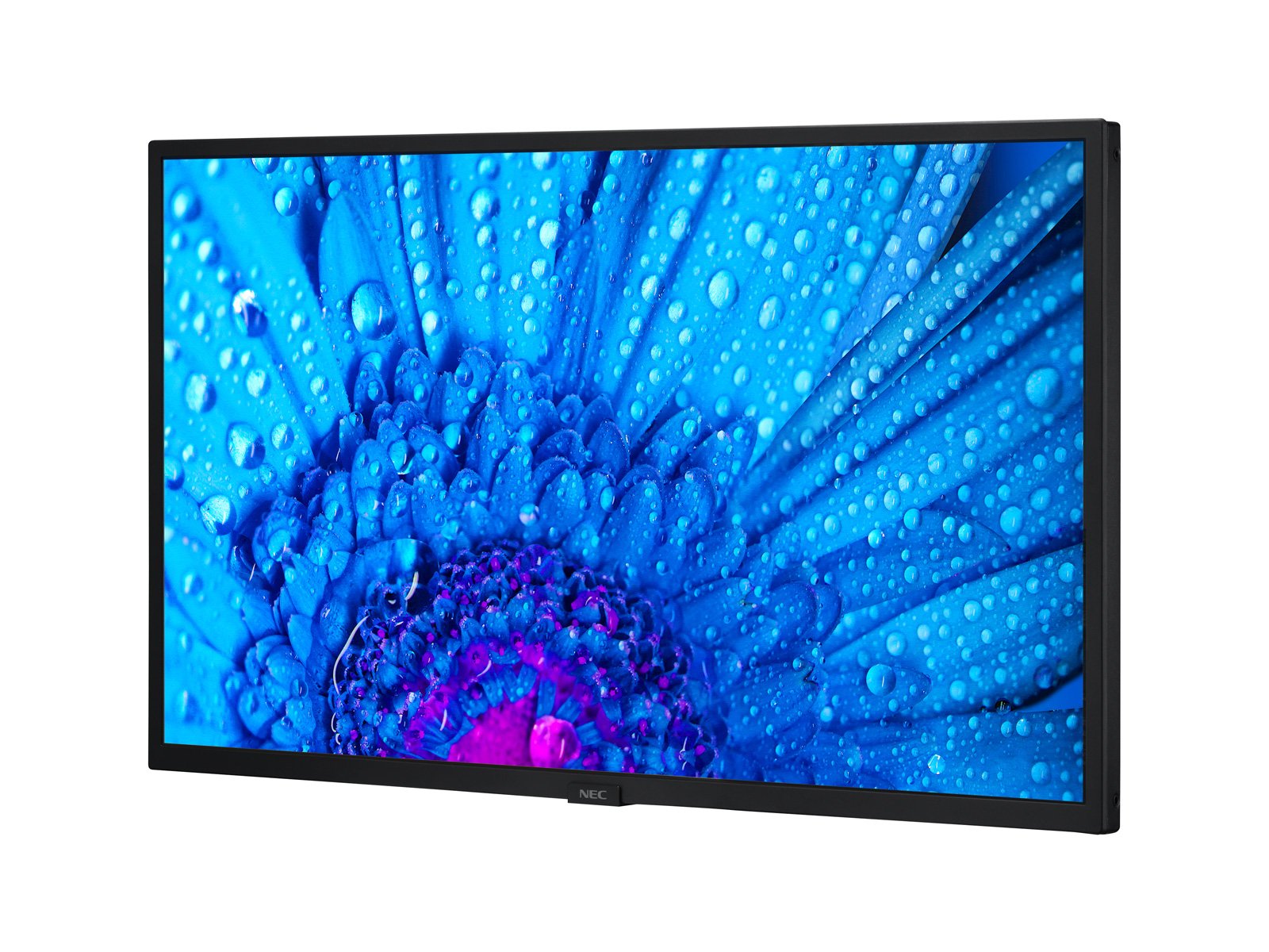 Datasheet for NEC MultiSync® M321 - Sharp Display